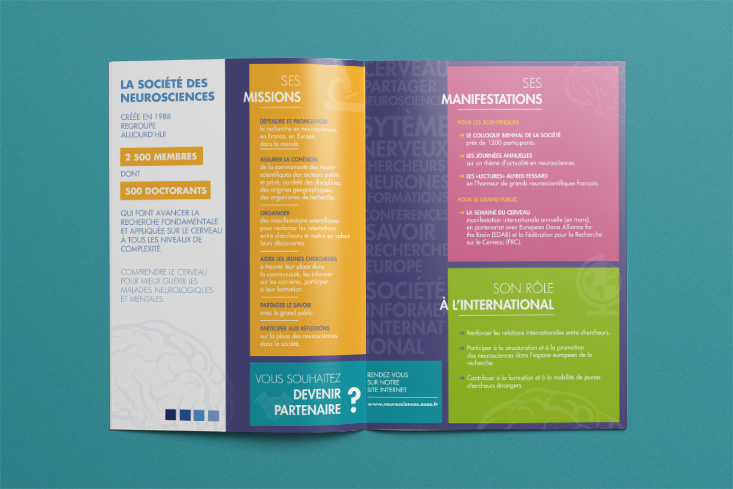 Création brochure Bordeaux Neurosciences