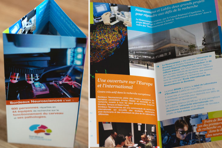 Création dépliant Bordeaux Neurosciences