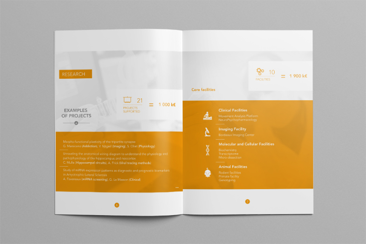 Rapport d'activités