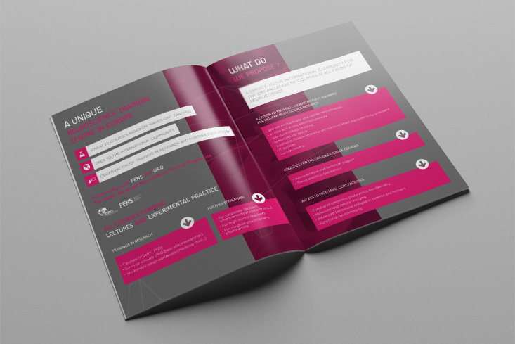 Création de rapport d'activités