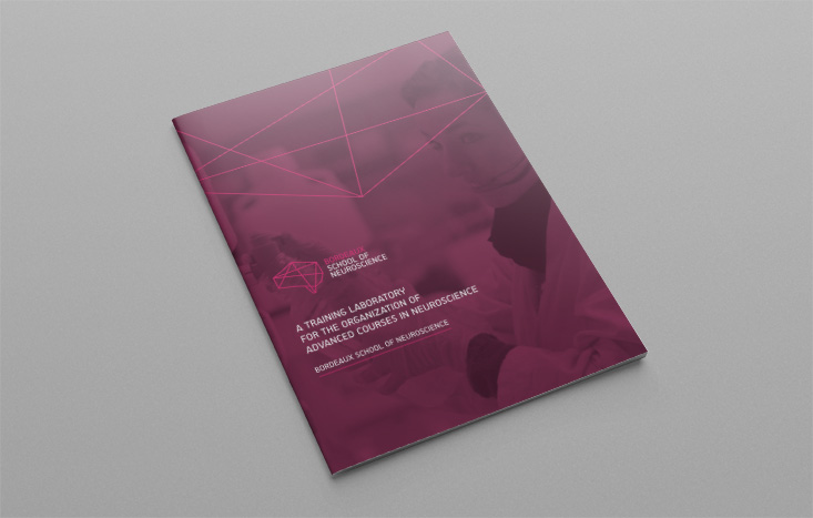 Rapport d'activités