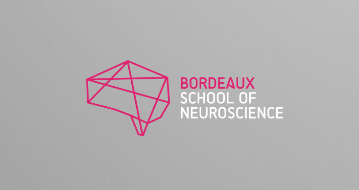 Logo Bordeaux School of neurosciences