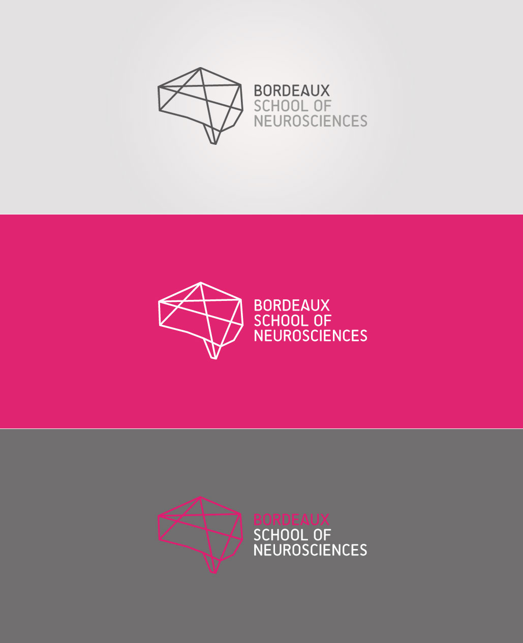 Création logo School of neuroscience